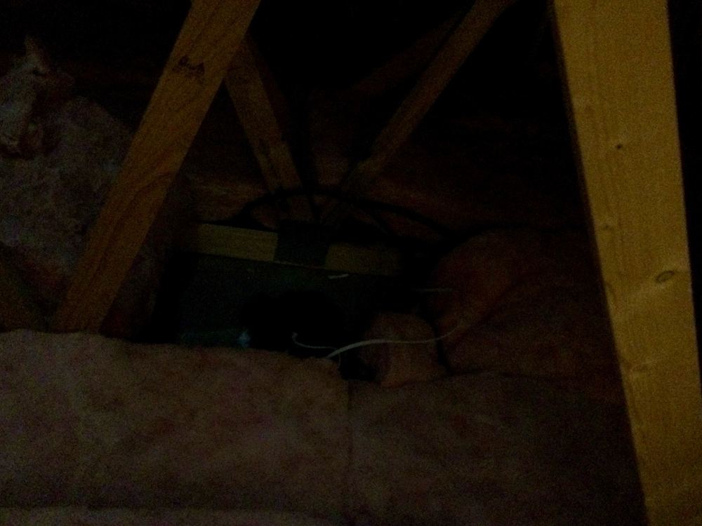 Exhaust fan installed without its duct to an outside vent, Beveridge