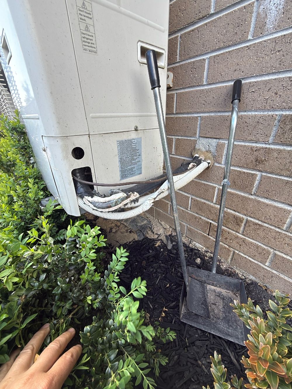 Refrigerant pipe insulation perished and chewed along the external wall, found during a pre-purchase building and pest inspection in Doreen
